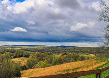 Towne Square: Vision for Green in Greene