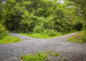 A Piece of My Mind: Random Thoughts, Reflections, & Memories that Occupy Space in My Mind