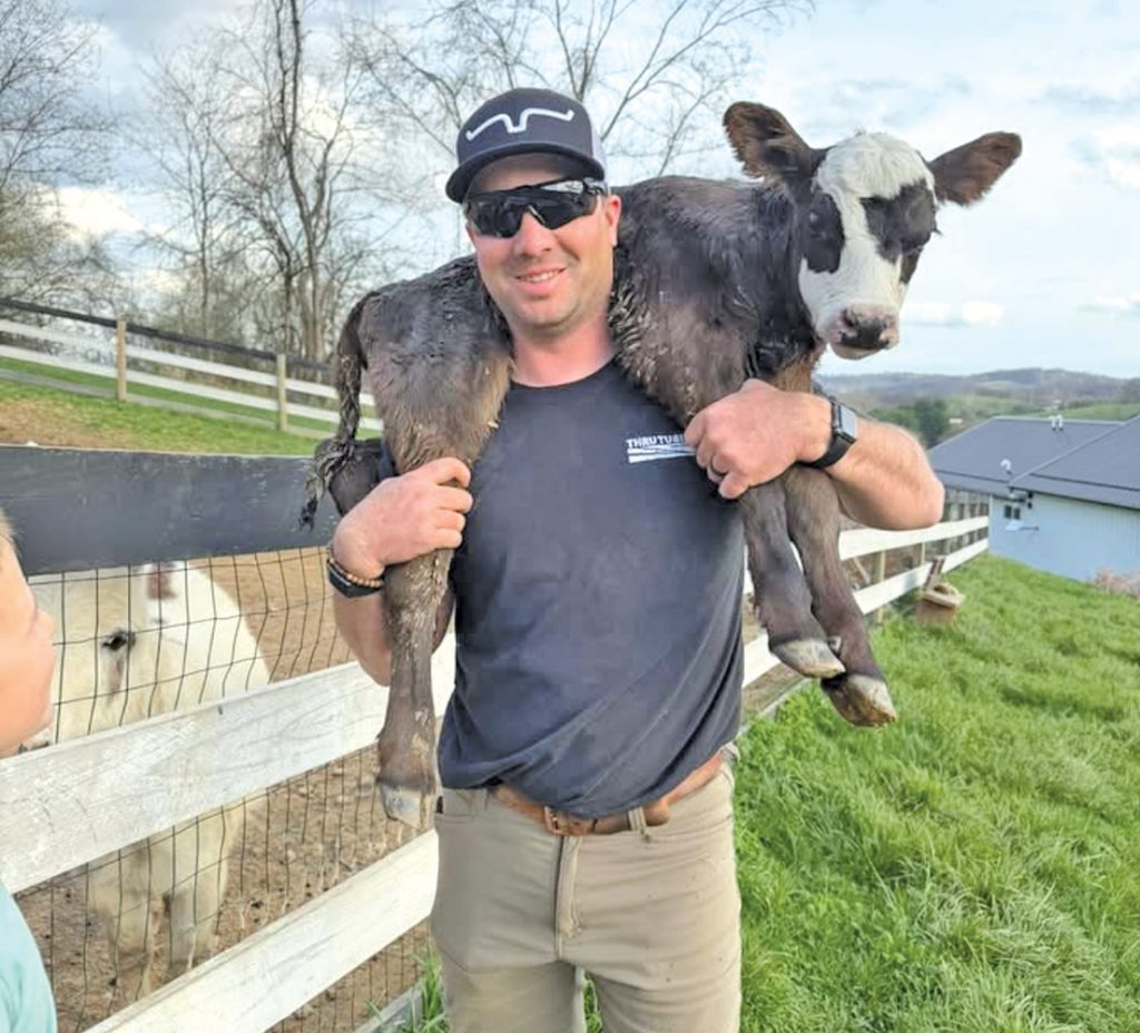 Man holding a calf across his shoulders in a fenced pasture.