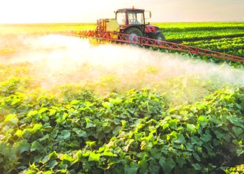Tractor sprays crops in a sunlit field with rows of green plants stretching into the distance.
