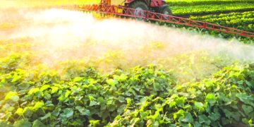 Tractor sprays crops in a sunlit field with rows of green plants stretching into the distance.
