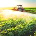 Tractor sprays crops in a sunlit field with rows of green plants stretching into the distance.