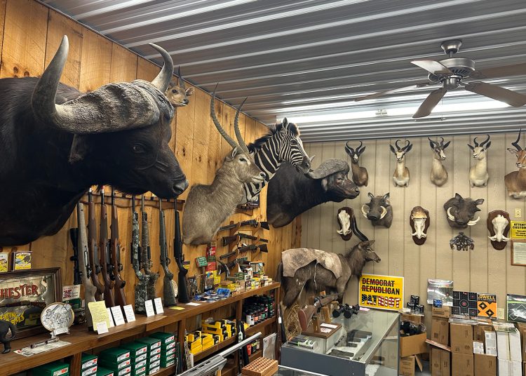 Interior of a hunting shop with mounted animals, rifles, and outdoor gear on display.