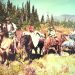 A group of hunters on horseback gathers in a mountain meadow with pack horses carrying harvested game during a backcountry hunt.