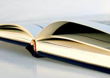 An open hardcover book with gently curved pages rests on a smooth surface in soft natural light.