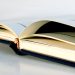 An open hardcover book with gently curved pages rests on a smooth surface in soft natural light.