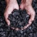 A pair of hands holds a pile of coal with a background of loose coal pieces.