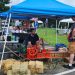 A vintage hay baler demonstration takes place among vendor booths during the Old Glory in Greene County Festival at Bootsie's Bed & Breakfast.