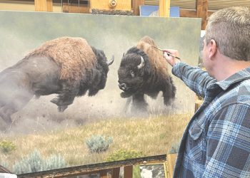 Wildlife artist Kyle Sims applies finishing touches to a large oil painting of two bull bison fighting in his studio.