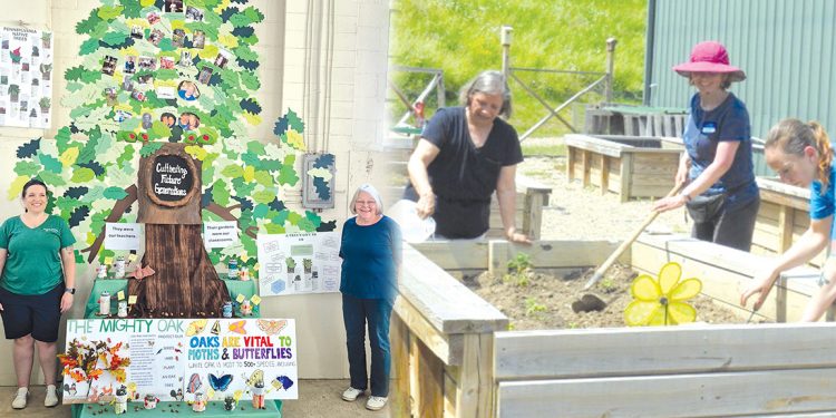 A split image shows Penn State Extension Master Gardeners presenting an educational display and working together in raised garden beds.