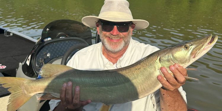 An angler proudly holds a large muskellunge in a fishing boat after landing the trophy fish.