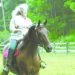 Shelly Brown rides a horse through a fenced pasture on her West Virginia farm.