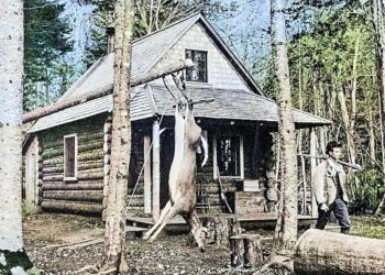 A historic photograph of a log hunting cabin in the woods shows a deer hanging from a tree and a hunter standing outside with a rifle resting on his shoulder.
