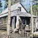 A historic photograph of a log hunting cabin in the woods shows a deer hanging from a tree and a hunter standing outside with a rifle resting on his shoulder.